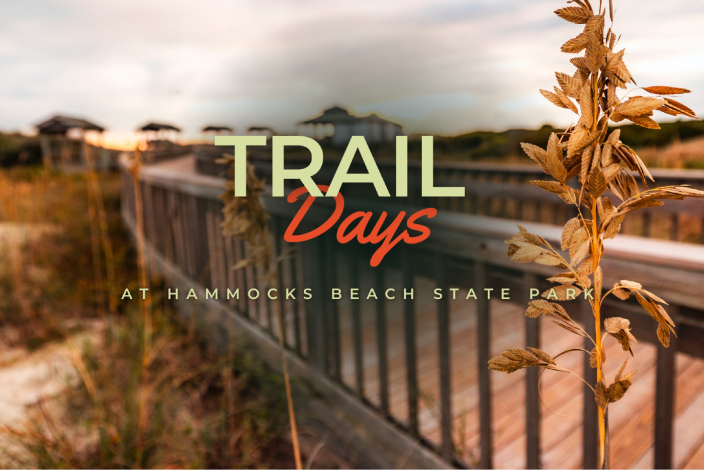 Trails Day at Hammock Beach State Park NC DNCR